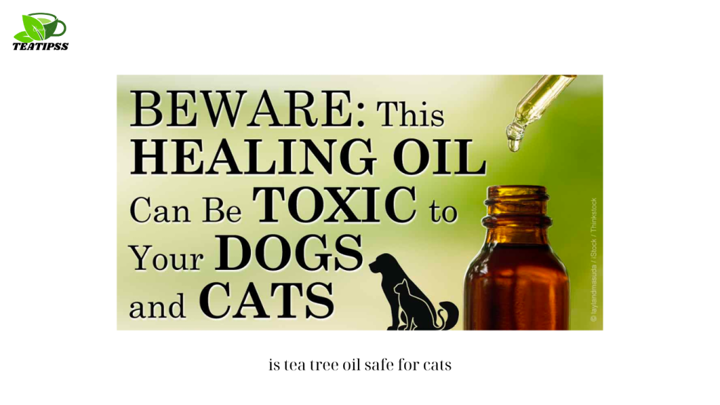 is tea tree oil safe for cats